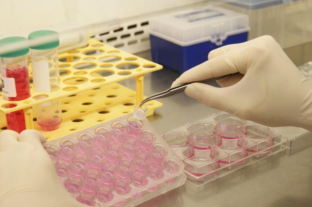 국내 개발 피부부식성 시험방법에 활용되는 KeraskinTM 인공피부모델